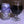 Load image into Gallery viewer, Total Eclipse Breakfast Stout
