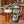 Load image into Gallery viewer, Gangster Frog IPA
