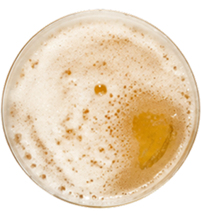 Lager style icon